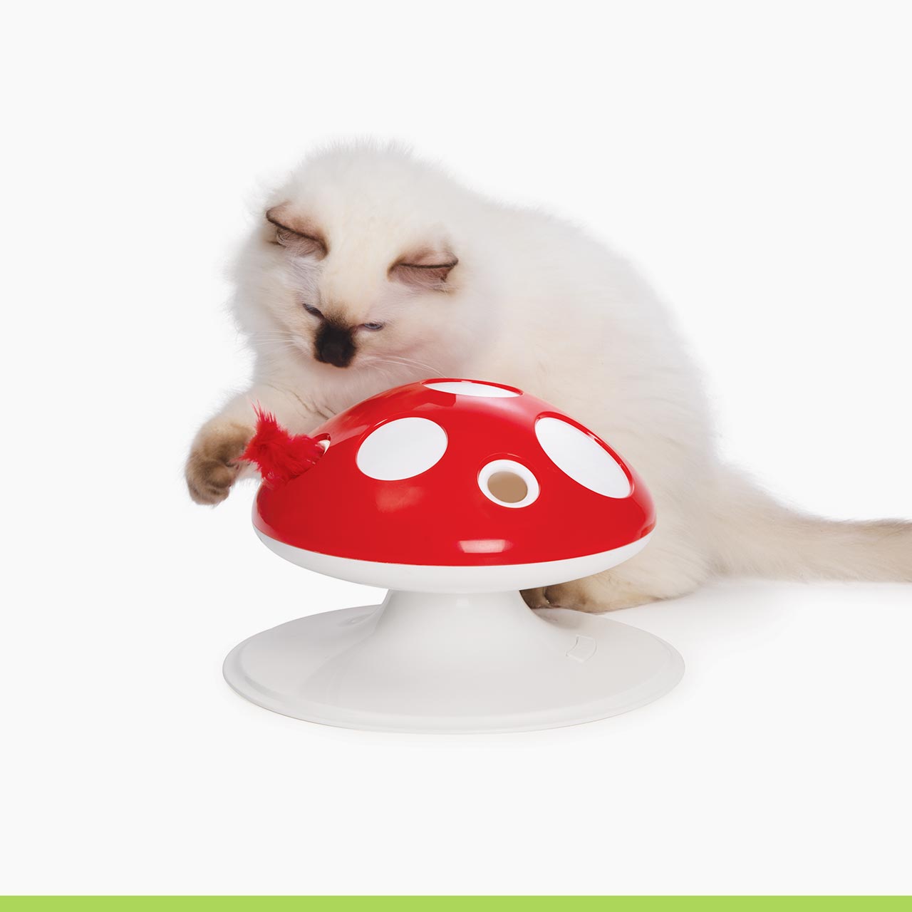 Catit Senses Mushroom